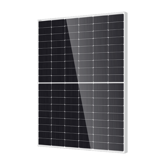 DM450M10RT-B54HSW Bifacial Module with Double Glass