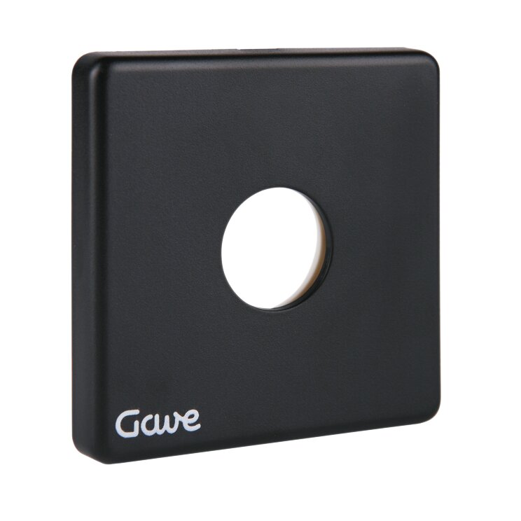 PLACA NV D1 SIN INSCRIPCIONES CARATULA NEGRA TORNILLO GAVE