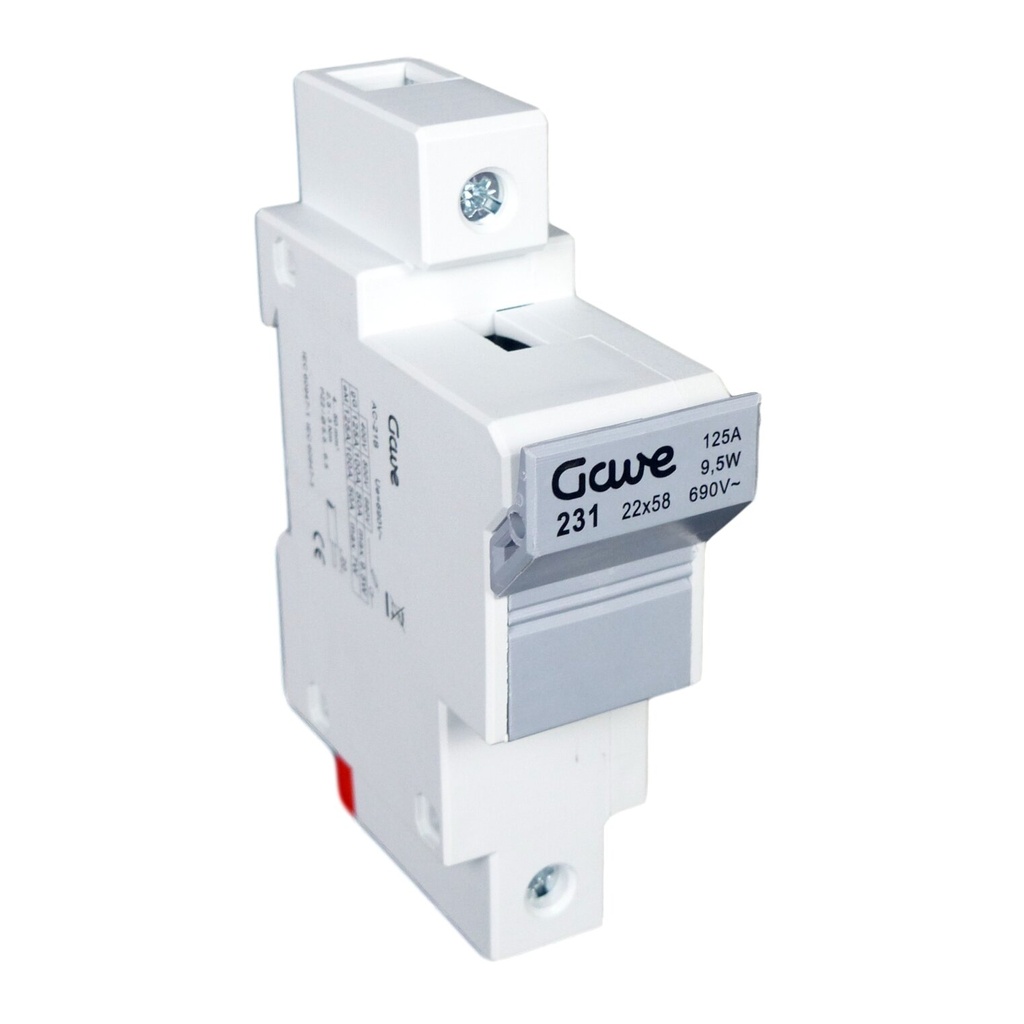 PORTAFUSIBLE GAVE  22X58 1P 100A.RAIL DIN