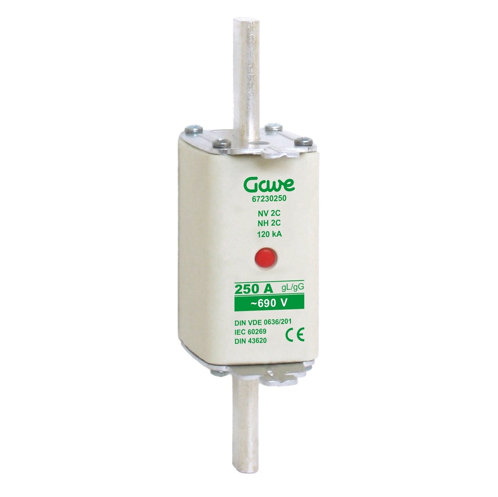 FUSIBLE NH IND.FUSION 250A.AM T2 GAVE