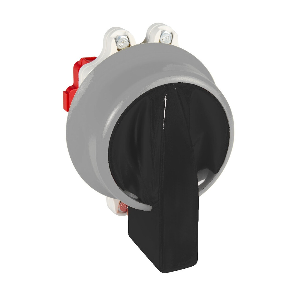 INTERRUPTOR 2P 25A.D0 MANDO BLOQUEO CANDADO IP69K NEGRO/GRIS