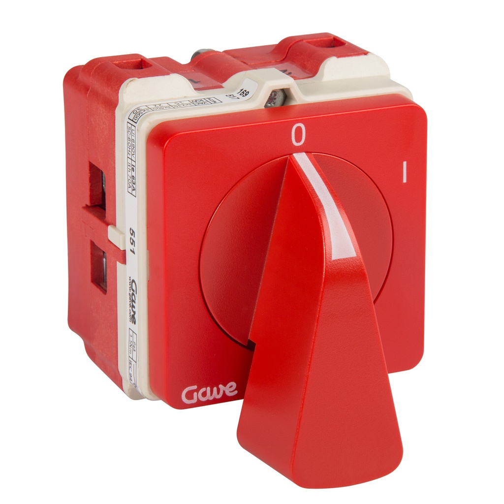 INTERRUPTOR GAVE 1P 63A.D2