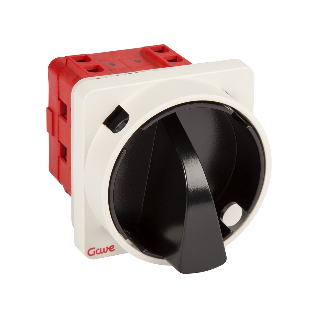 INTERRUPTOR GAVE 3P.25A.D1 BLOQUEO CANDADO NEGRO/GRIS