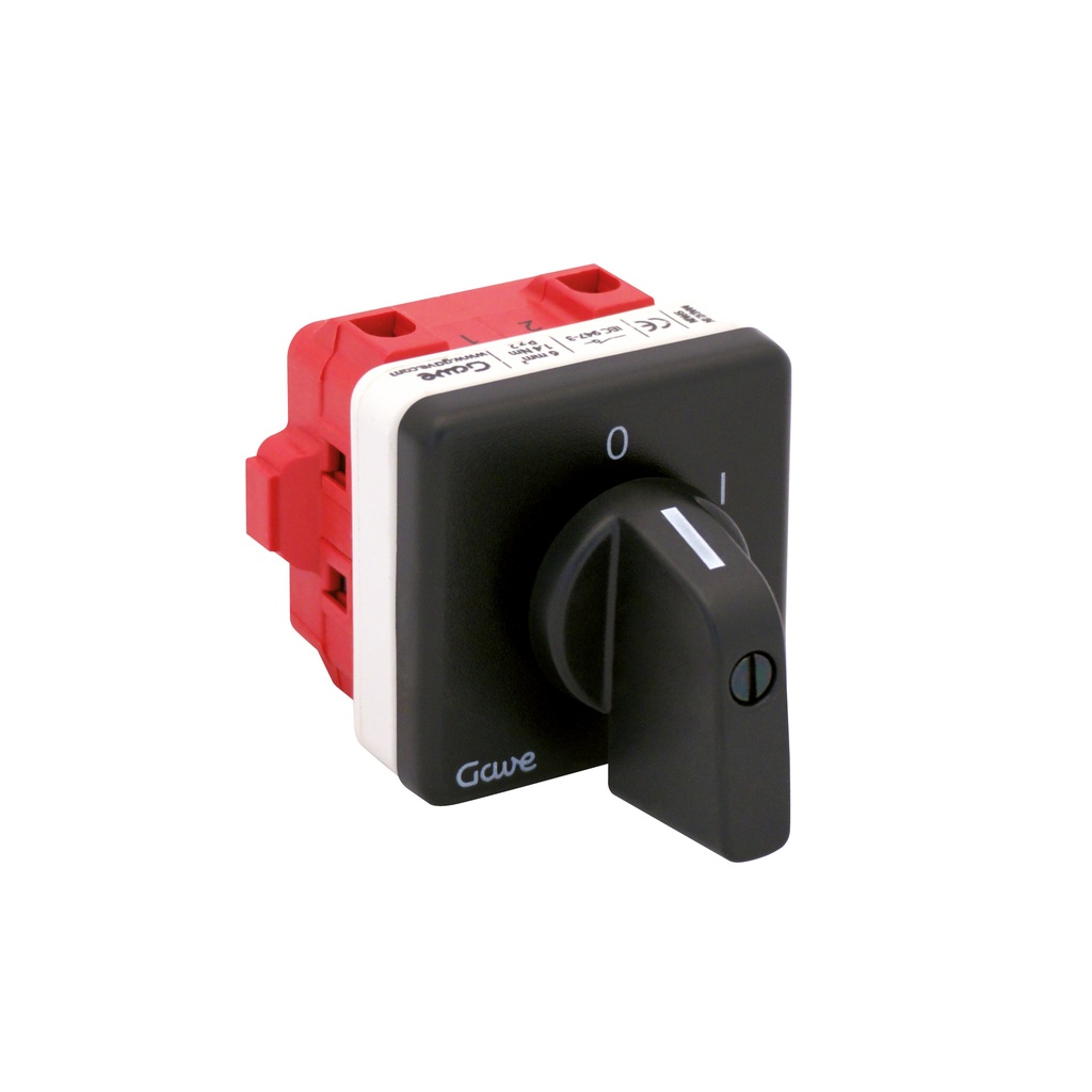 INTERRUPTOR GAVE 2P 63A.D2 MANDO FIJACION POR TORNILLO