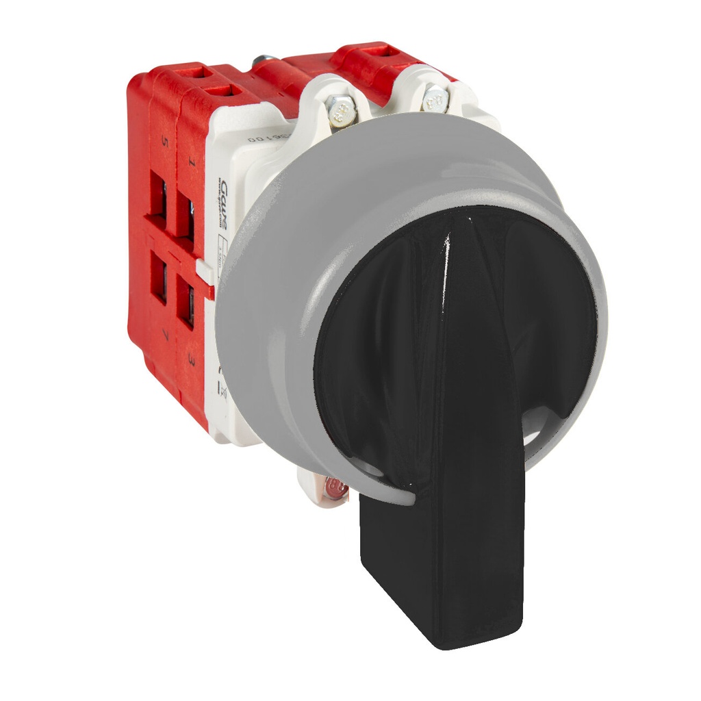 INTERRUPTOR 2P 63A.D2 MANDO BLOQUEO CANDADO IP69K